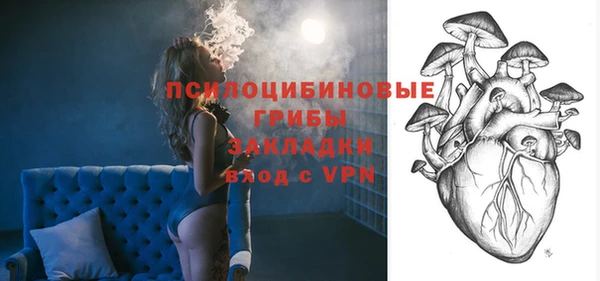 хмурый Богородск