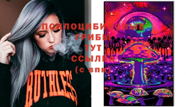 apvp Богданович