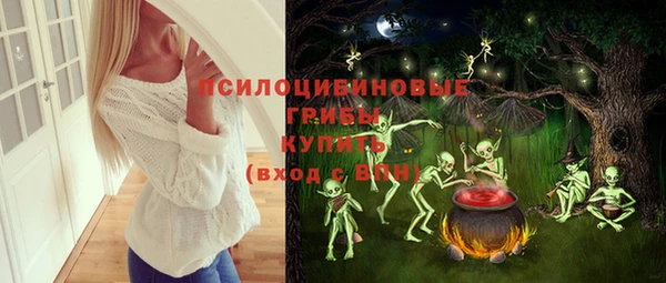 скорость Бородино