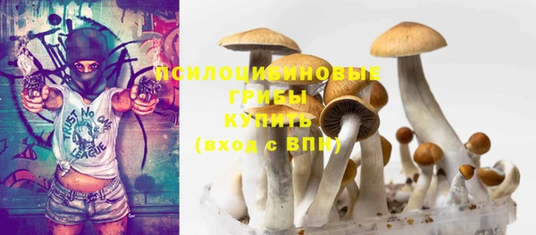 каннабис Богородицк