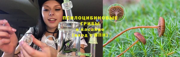 каннабис Богородицк
