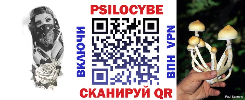 закладки  OMG ССЫЛКА  Галлюциногенные грибы Magic Shrooms  Электрогорск 